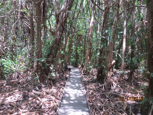 Cairns, Queensland Australia (Botanical Gardens) – photo 1