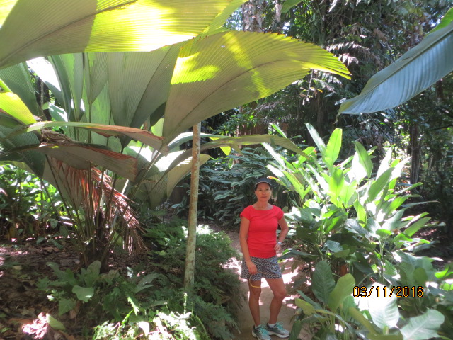 Cairns, Queensland Australia (Botanical Gardens) – photo 9