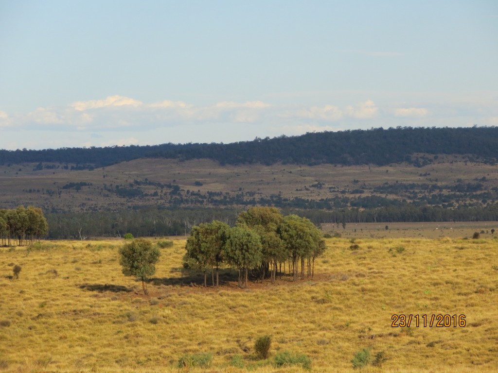 Taroom, Australia (The Glebe) – Queensland – photo 13