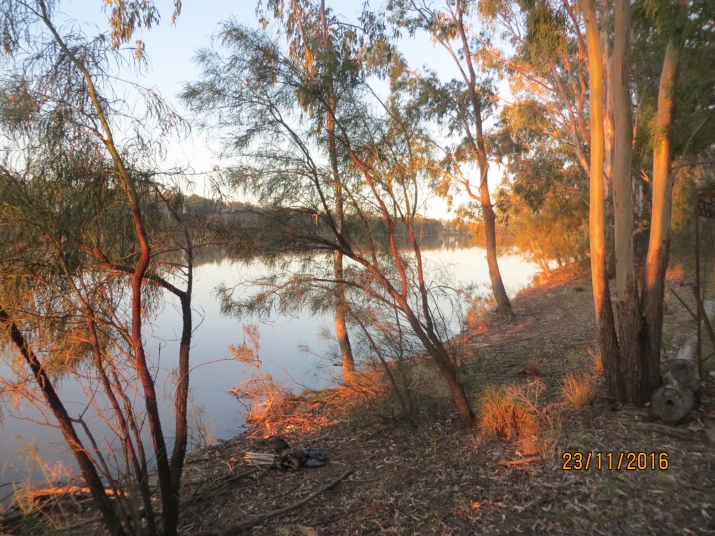 Taroom, Australia (The Glebe) – Queensland – photo 14
