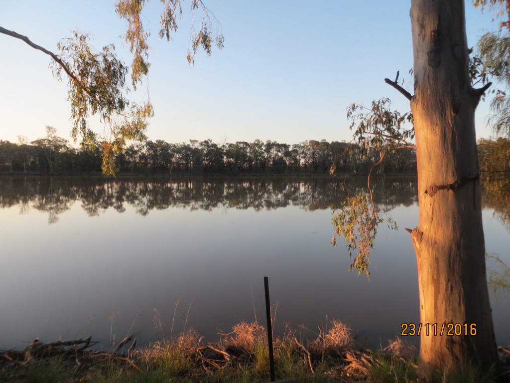 Taroom, Australia (The Glebe) – Queensland – photo 15