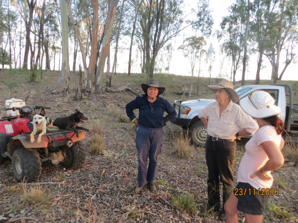 Taroom, Australia (The Glebe) – Queensland – photo 16