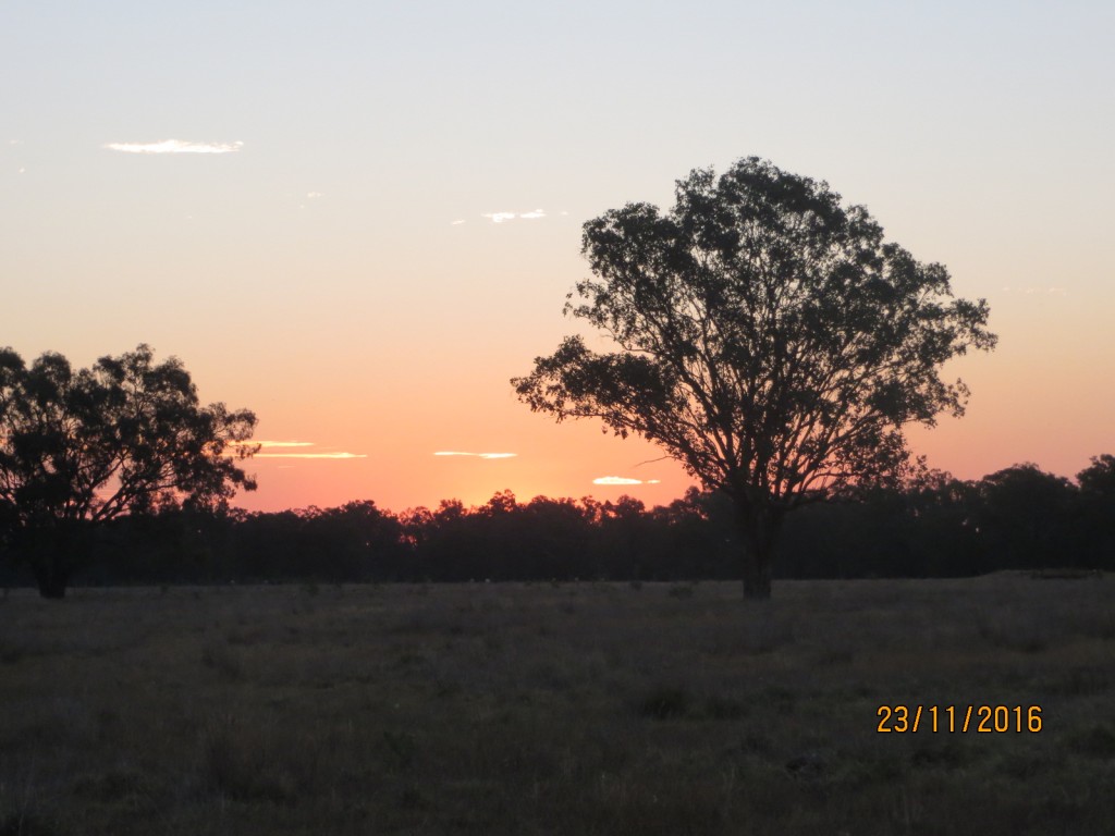 Taroom, Australia (The Glebe) – Queensland – photo 17