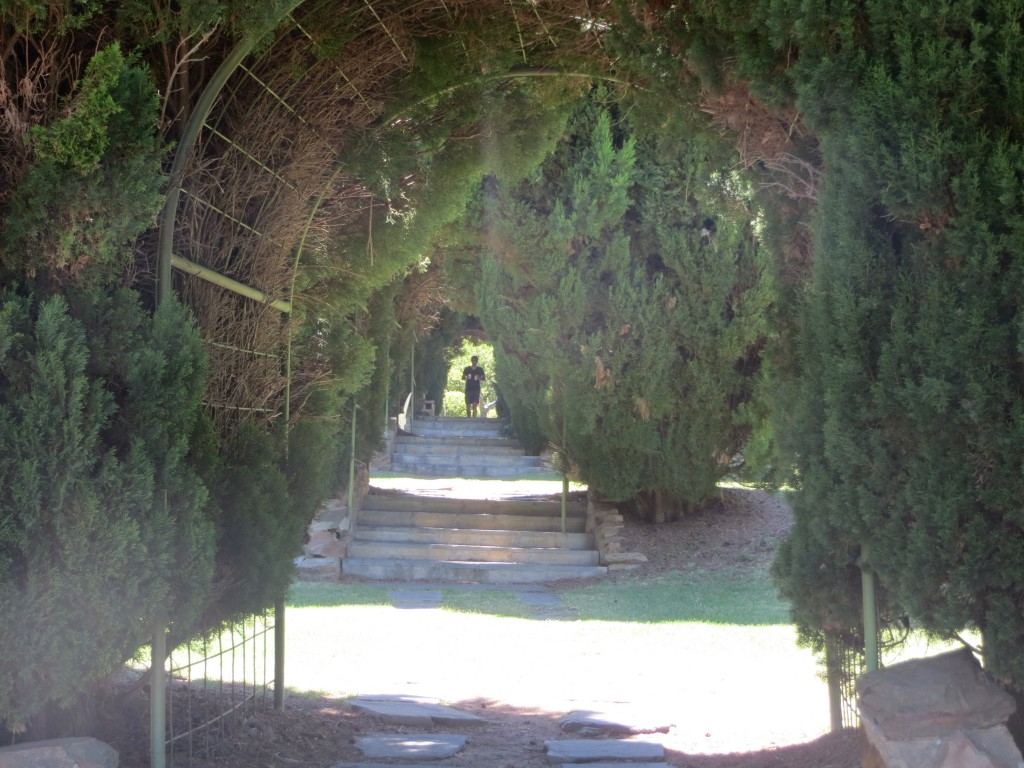 Adelaide, Australia (Carrick Hill) – South Australia – photo 5