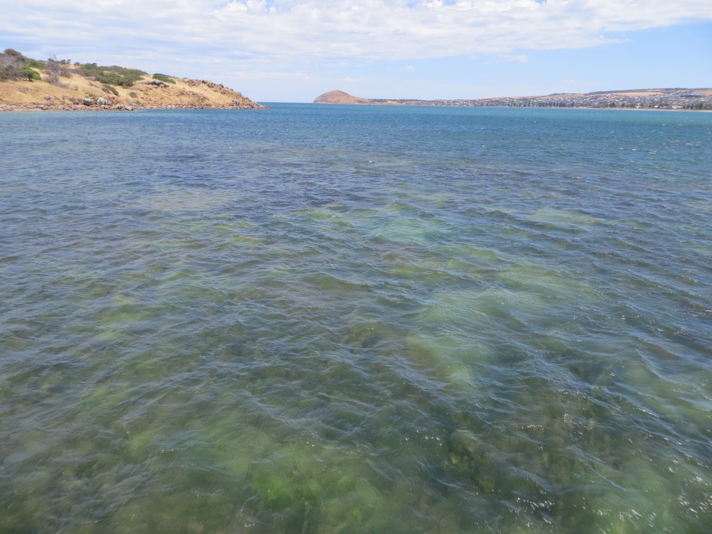 Victor Harbor, Australia – South Australia – photo 9