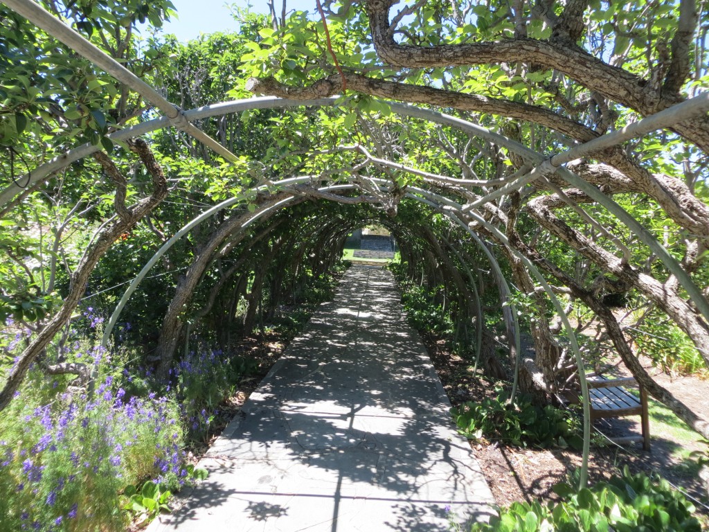Adelaide, Australia (Carrick Hill) – South Australia – photo 8