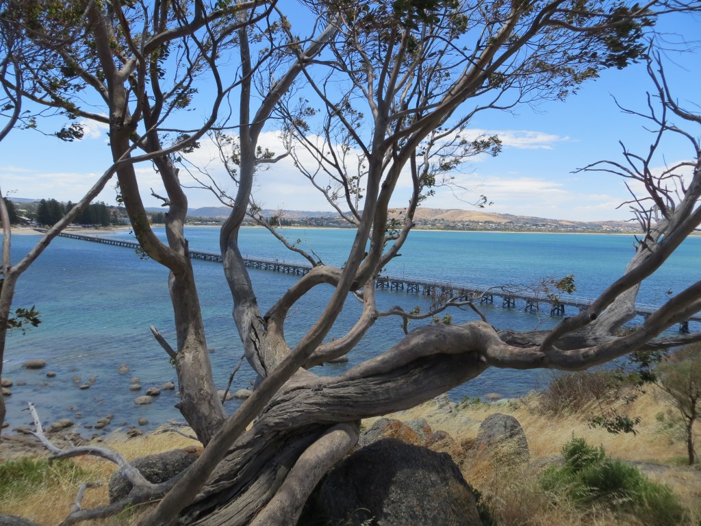 Victor Harbor, Australia – South Australia – photo 12
