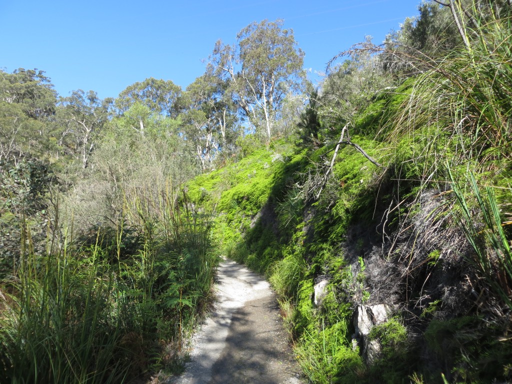 Adelaide, Australia (Hike to Mount Lofty) – South Australia – photo 8
