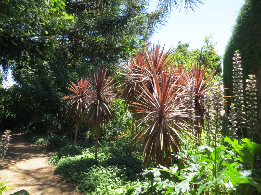 Adelaide, Australia (Carrick Hill) – South Australia – photo 13