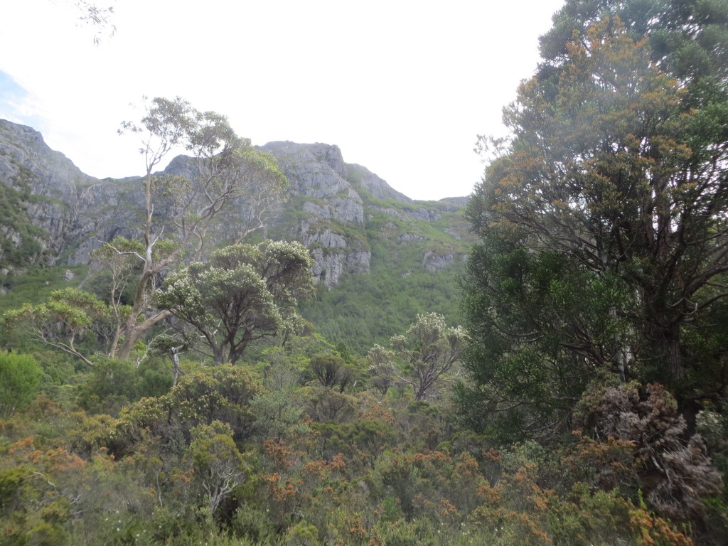 Dove Lake @ Cradle Mountain, Tasmania – Australia – photo 7