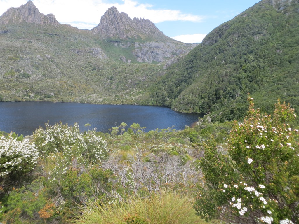 Dove Lake @ Cradle Mountain, Tasmania – Australia – photo 8
