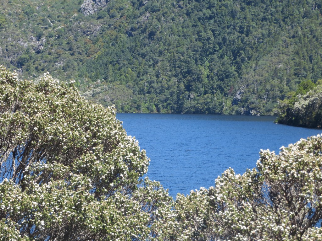 Dove Lake @ Cradle Mountain, Tasmania – Australia – photo 13