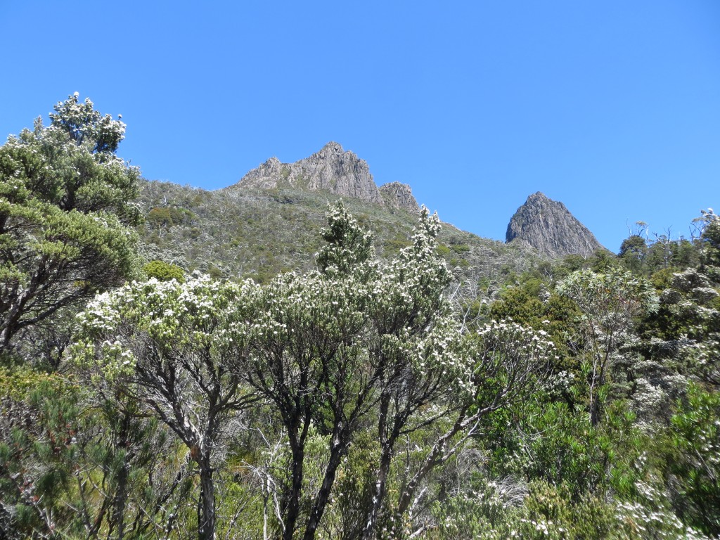 Dove Lake @ Cradle Mountain, Tasmania – Australia – photo 3