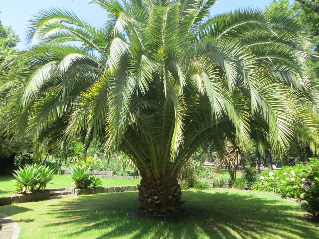Fitzroy Gardens Melbourne, Australia – Victoria – photo 16