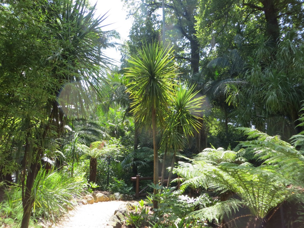 Fitzroy Gardens Melbourne, Australia – Victoria – photo 15