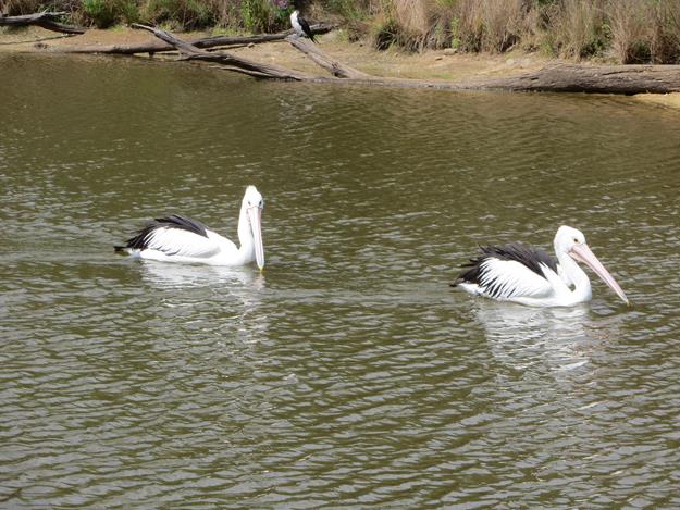 Canberra, Australia – photo 1