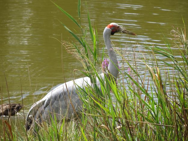 Canberra, Australia – photo 2