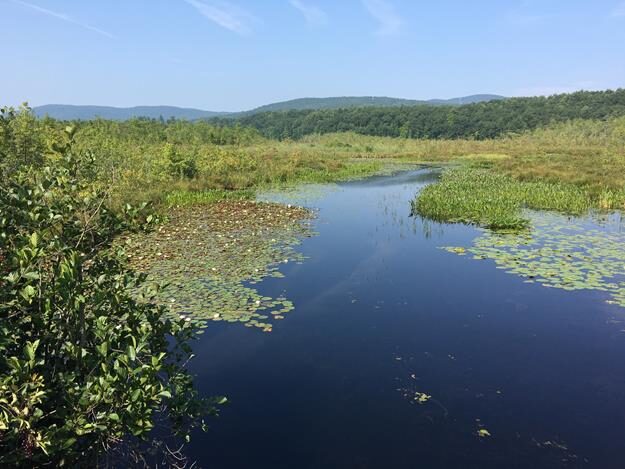 Lake George, NY – Village of Lake George, New York – photo 32