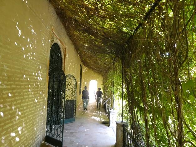 Real Alcazar, Seville, Spain – Andalusia – photo 5