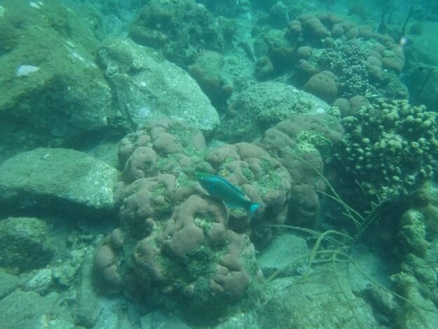 Sightseeing/Snorkeling tour – St. Lucia – Soufrière, Soufrière – photo 8