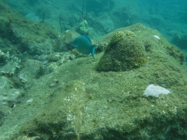 Sightseeing/Snorkeling tour – St. Lucia – Soufrière, Soufrière – photo 9