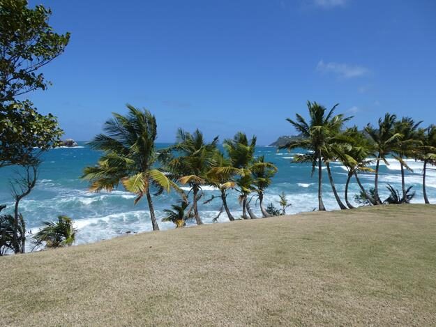 Pigeon Island, St. Lucia – Rodney Bay, Gros Islet – photo 12
