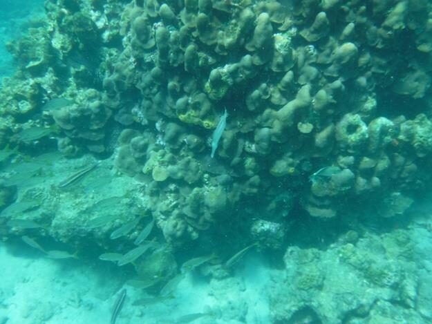 Sightseeing/Snorkeling tour – St. Lucia – Soufrière, Soufrière – photo 27