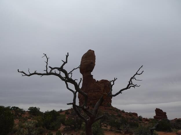 Arches National Park, Utah – United States – photo 6