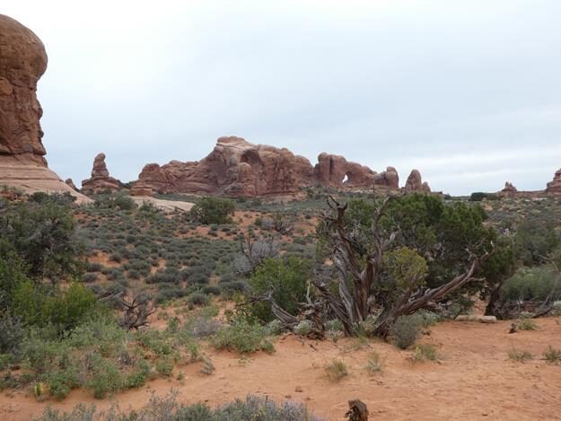 Arches National Park, Utah – United States – photo 9
