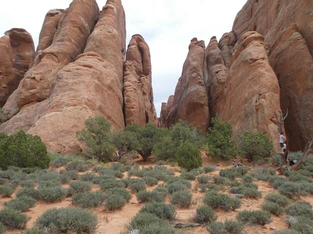 Arches National Park, Utah – United States – photo 20