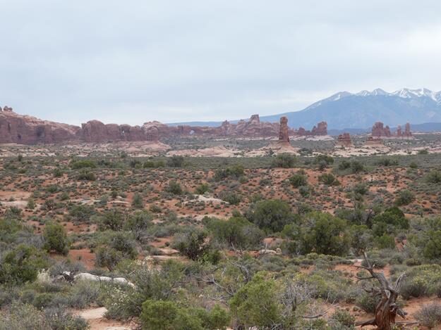Arches National Park, Utah – United States – photo 33
