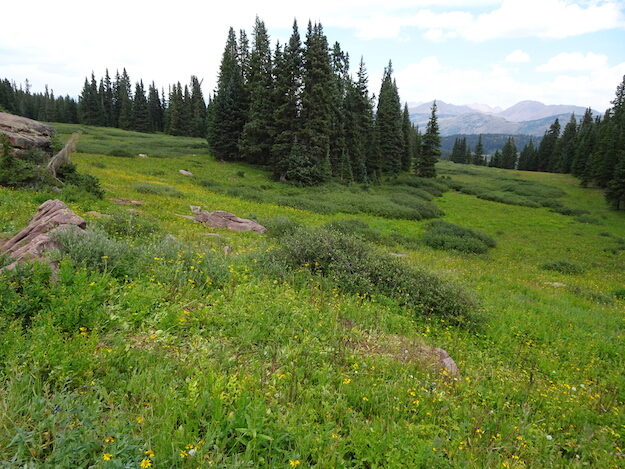 Shrine Ridge trail – Copper Mountain CO – Colorado, United States – photo 8