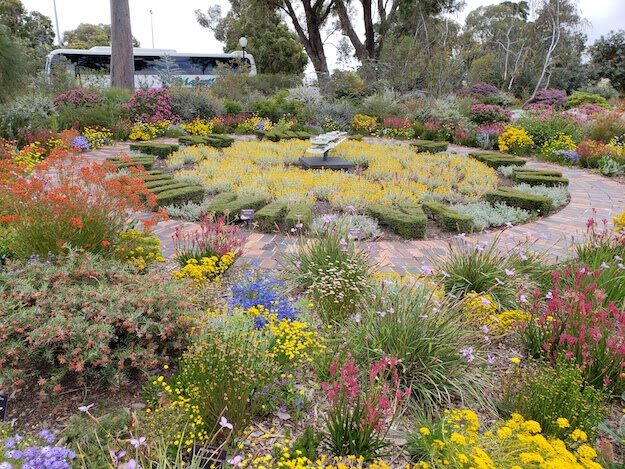 Kings Park, Perth, AU – Western Australia, Australia – photo 6
