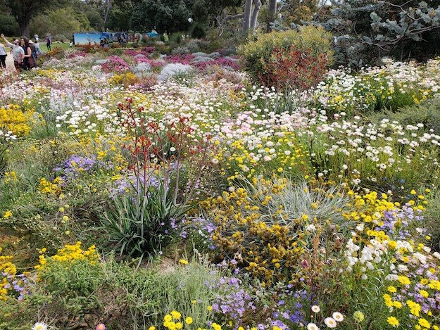 Kings Park, Perth, AU – Western Australia, Australia – photo 3