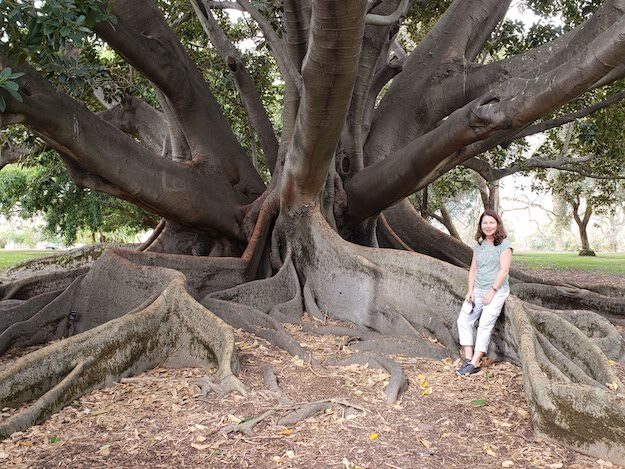 Kings Park, Perth, AU – Western Australia, Australia – photo 4