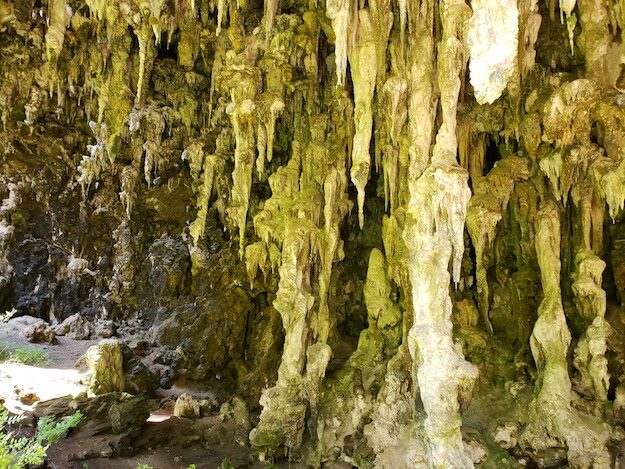 Lake Cave, AU – Western Australia, Australia – photo 3