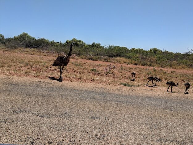 Exmouth, AU – Western Australia, Australia – photo 7