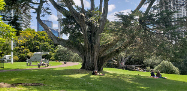 Aukland, NZ (Albert Park & The Domain) – Waitematā, Auckland – photo 1