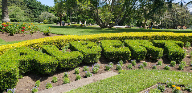 Aukland, NZ (Albert Park & The Domain) – Waitematā, Auckland – photo 16