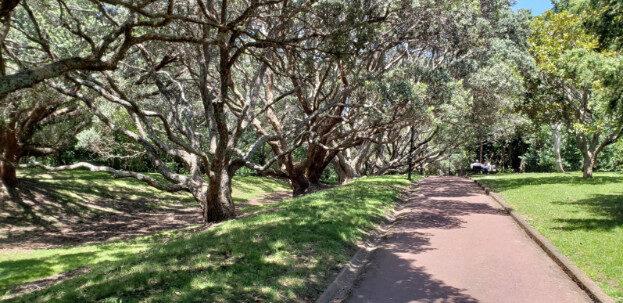 Aukland, NZ (Albert Park & The Domain) – Waitematā, Auckland – photo 21