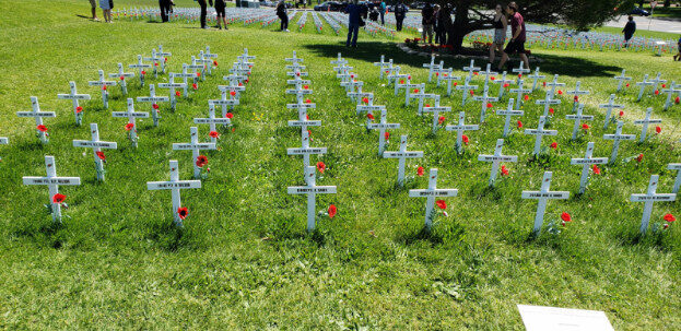 Aukland, NZ (Albert Park & The Domain) – Waitematā, Auckland – photo 15