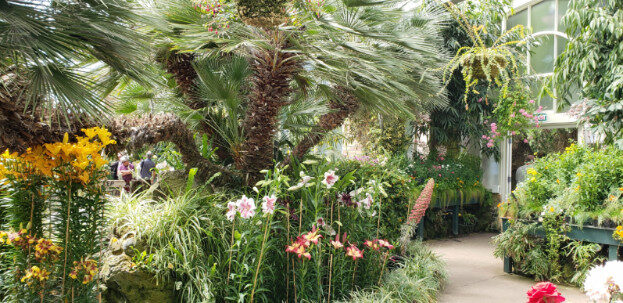 Aukland, NZ (Albert Park & The Domain) – Waitematā, Auckland – photo 7