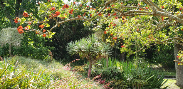 Aukland, NZ (Albert Park & The Domain) – Waitematā, Auckland – photo 9