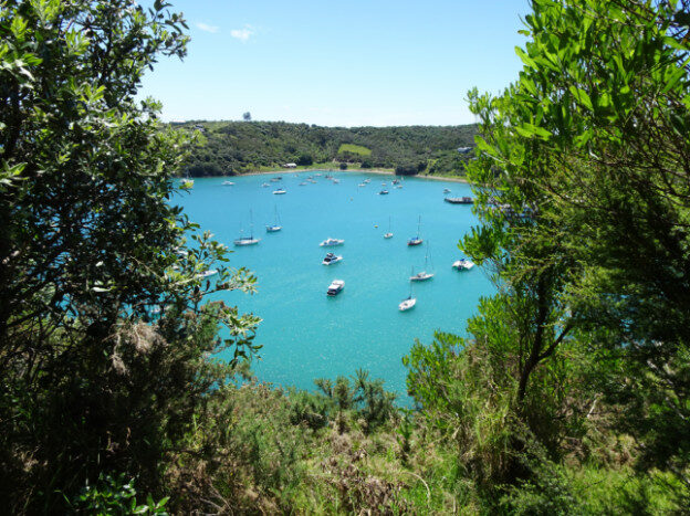 Waiheke Island, NZ – Auckland, New Zealand – photo 8