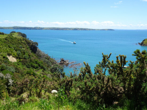 Waiheke Island, NZ – Auckland, New Zealand – photo 7