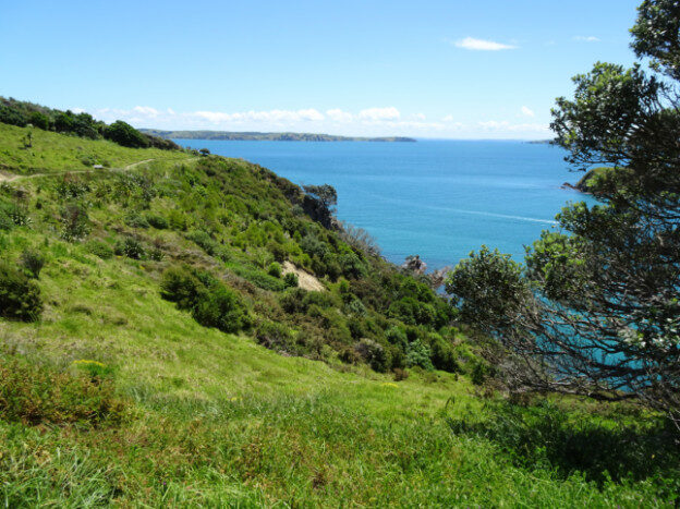Waiheke Island, NZ – Auckland, New Zealand – photo 6