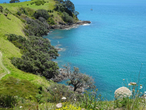 Waiheke Island, NZ – Auckland, New Zealand – photo 5