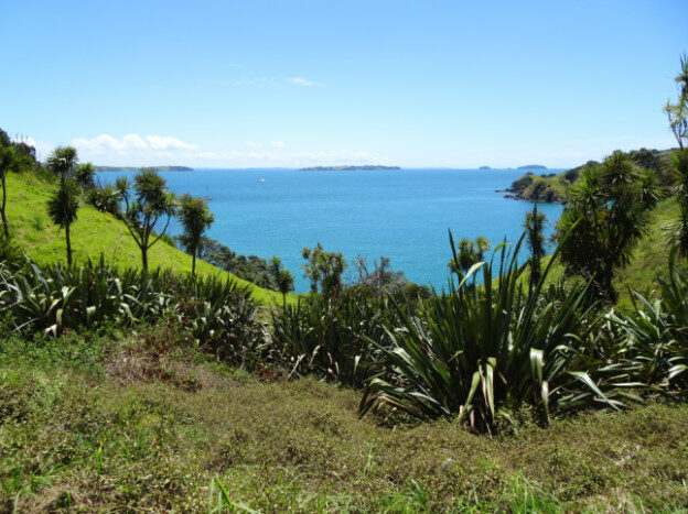 Waiheke Island, NZ – Auckland, New Zealand – photo 4