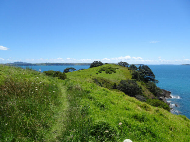 Waiheke Island, NZ – Auckland, New Zealand – photo 18