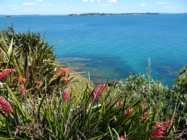 Waiheke Island, NZ – Auckland, New Zealand – photo 15